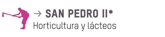  p san pedro II* Horticultura y lácteos