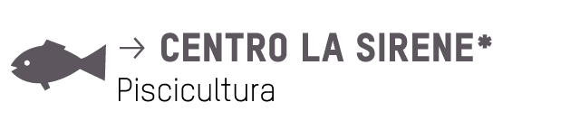  p centro la sirene* Piscicultura