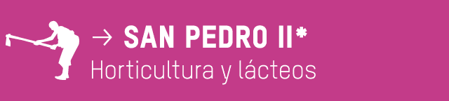  p san pedro II* Horticultura y lácteos